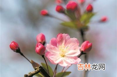 人这一辈子 人老了或是走不动了, 最亲的只有三个人