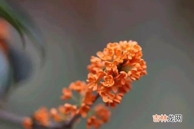 每个人对于爱情都是充满憧憬的 夫妻关闭社交媒体权限,收起这三样东西,多半是缘尽了
