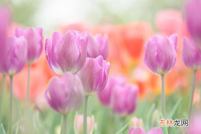 每个人都有自己独特的喜恶 害怕别人不喜欢你，原因就在这几个方面，不要恐惧自己