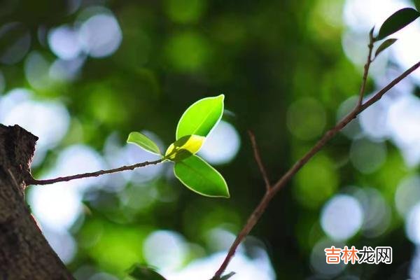 人说一命二运三风水 老天爷最不待见的人，往往是这三种人