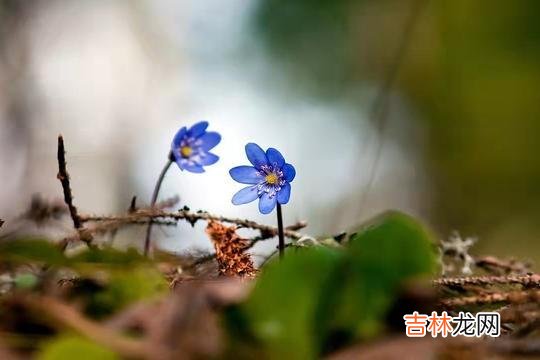 人说一命二运三风水 老天爷最不待见的人，往往是这三种人