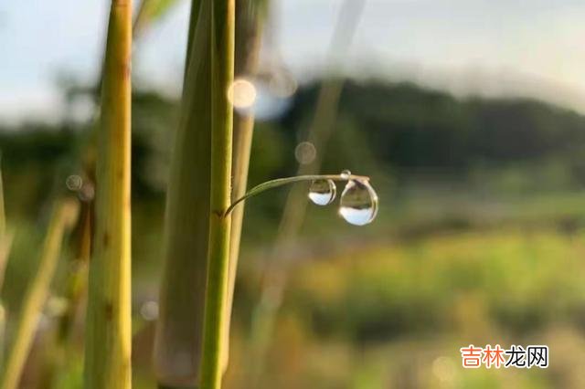 人说一命二运三风水 老天爷最不待见的人，往往是这三种人