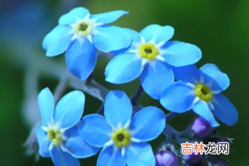 女人的爱 女人允许你在这三个方面越界,多半是对你有意思