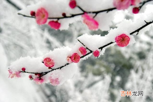 如何与人交往 这种人，从来不懂得珍惜真情，只会把身边的人通通伤透