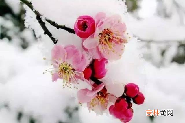 如何与人交往 这种人，从来不懂得珍惜真情，只会把身边的人通通伤透