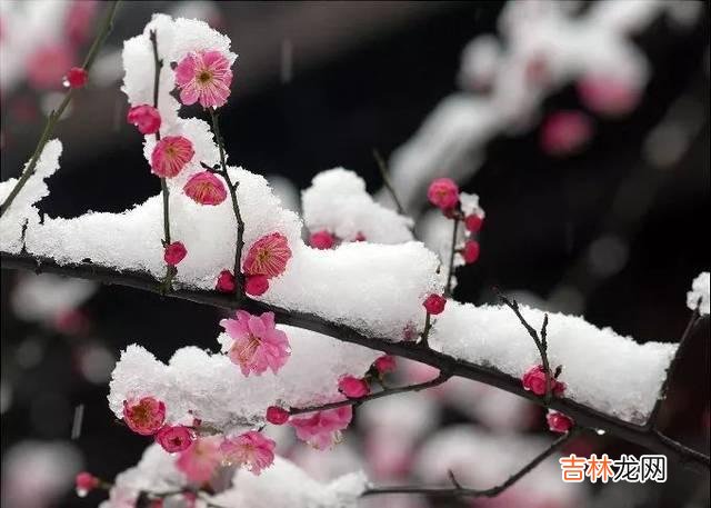 如何与人交往 这种人，从来不懂得珍惜真情，只会把身边的人通通伤透