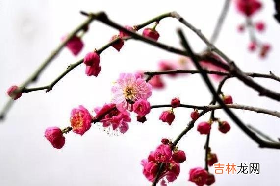 如何与人交往 这种人，从来不懂得珍惜真情，只会把身边的人通通伤透