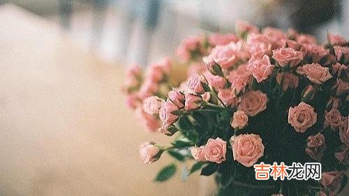 为什么越来越多的人 不喜欢发朋友圈的人，往往比一般人活出被自己喜欢的样子