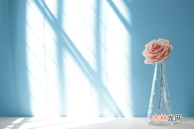 育儿是每个家庭的头等大事 女儿有可能过上幸福的人生，请尽早告诉她，不会遇人不淑