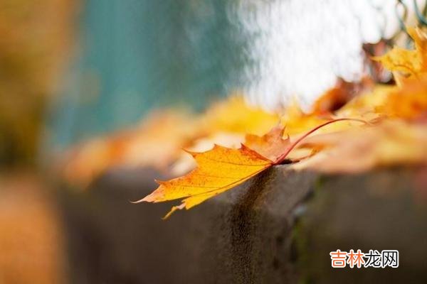 有一种说法是“美貌是女人最大的武器” “好色”的女人，往往有这几个特点，一眼就能看穿
