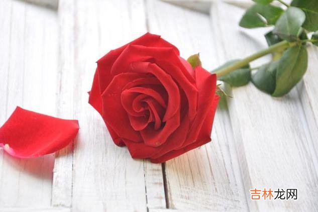 与兄弟姐妹之间和睦相处 与兄弟姐妹之间的感情不再好，随礼时要懂得以下几个规矩