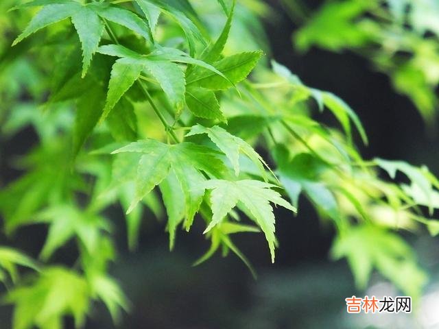 提到中年女人 和中年女人聊这三个话题，她们的关系会越来越好