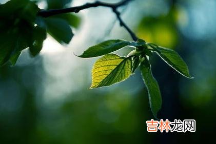 提到中年女人 和中年女人聊这三个话题，她们的关系会越来越好
