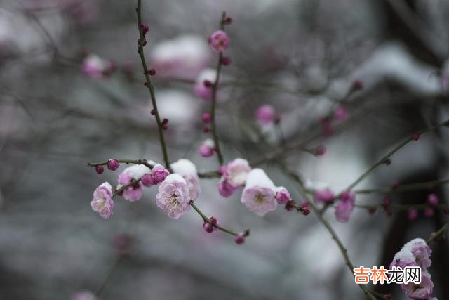 很多人都拿三十而立作为分水岭 退休之后，这三类人不能交往