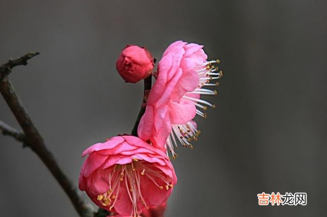 很多人都拿三十而立作为分水岭 退休之后，这三类人不能交往