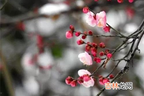 很多人都拿三十而立作为分水岭 退休之后，这三类人不能交往