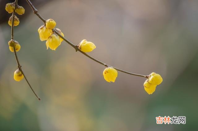 有网友提出一个问题：总是有人诋毁我 对一个人最好的报复，只有四个字，就是不闻不问