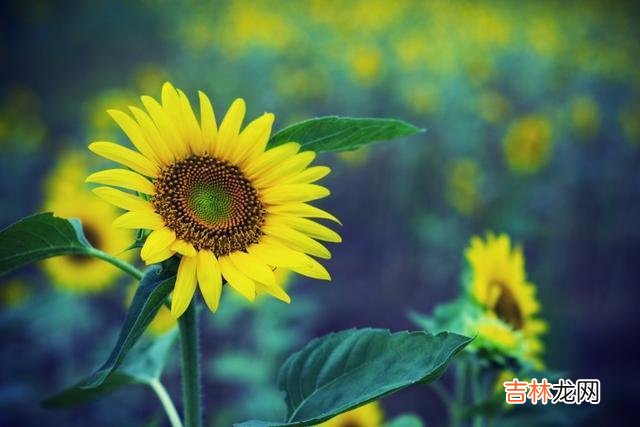 结婚生子 亲家之间关系再好,也不要产生金钱上的往来,容易影响儿女感情