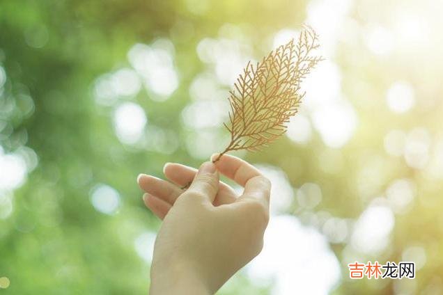 结婚生子 亲家之间关系再好，也不要产生金钱上的往来，容易影响儿女感情