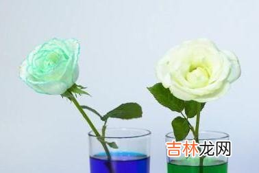 能过上幸福富足的日子 女人过得好不好,从这三个细节就可以看出来
