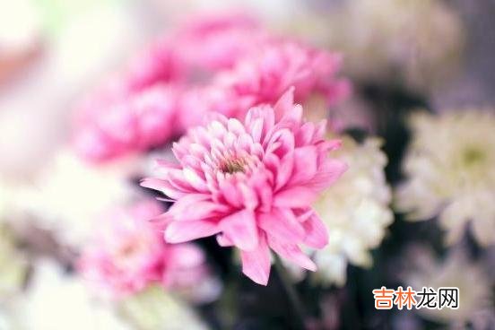 爱情对于人们来说是一种福气 男人对于婚姻的期待,其实是大于女人的