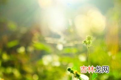 我们存在于这个世间 错把这两种关系重要程度搞相反对待的人，才是真正的糊涂