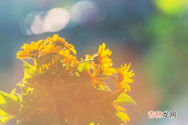 我们存在于这个世间 错把这两种关系重要程度搞相反对待的人，才是真正的糊涂
