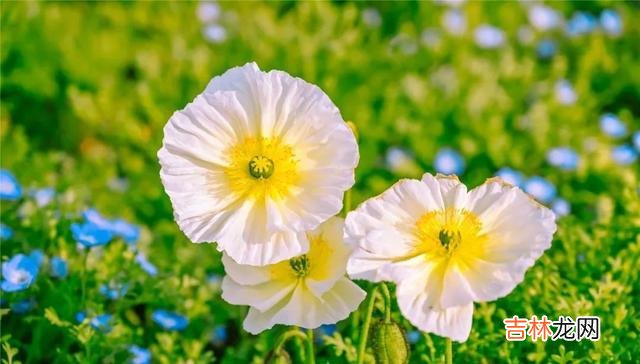 人生注定是一个渐行渐远 人到中年,兄弟姐妹没有人情味了,做好三件事你就赢了