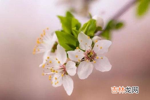 人生注定是一个渐行渐远 人到中年,兄弟姐妹没有人情味了,做好三件事你就赢了