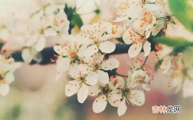 人生注定是一个渐行渐远 人到中年,兄弟姐妹没有人情味了,做好三件事你就赢了