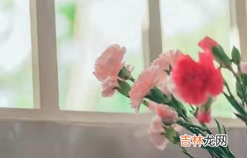 现在的社交手段越来越五花八门 不愿意别人来自己家的人，都有这三个特征