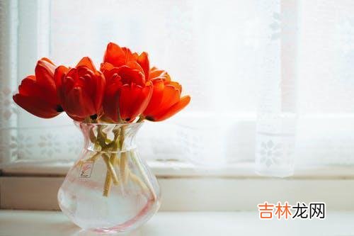 任何人都无法躲得过流年的侵蚀 有智慧的老人通常会给儿女留下为人处世的锦囊