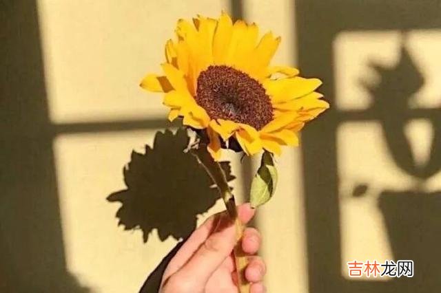 多年前有一部剧电视剧风靡全国 女人向男人索要这三样东西，会让男人爱你上瘾