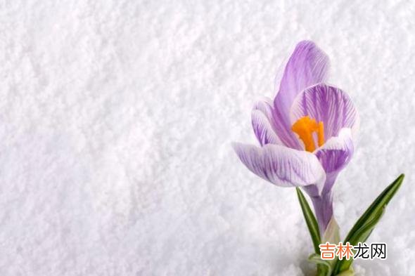 每个人都需要在时间的流逝中 人到中年，如果鼓励你勇敢去感受不一样的人生