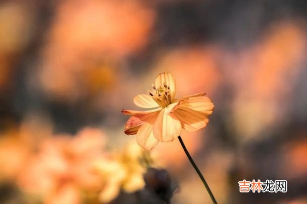 听过一个男人对女人的吐槽 男人学会撩女人的三个技巧，女人会越来越喜欢你