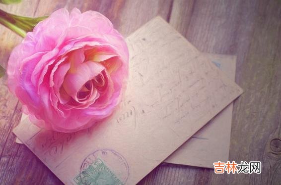 在我们大部分人的认知里 女人懂事明理的女人，往往有一个共性，很多人都忽略了