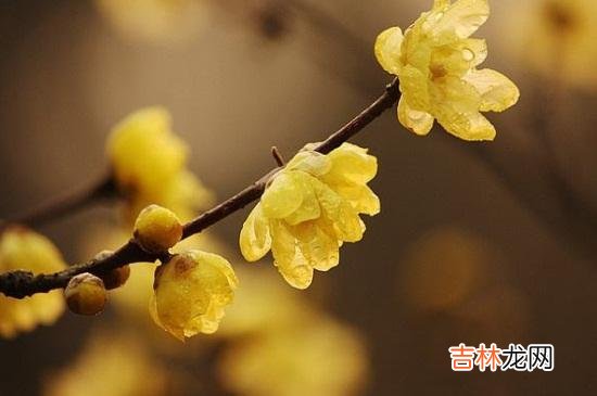 随着现在社会观念的变化 50岁以后，女人为家庭牺牲是一个选择，这两个真相值得所有女人