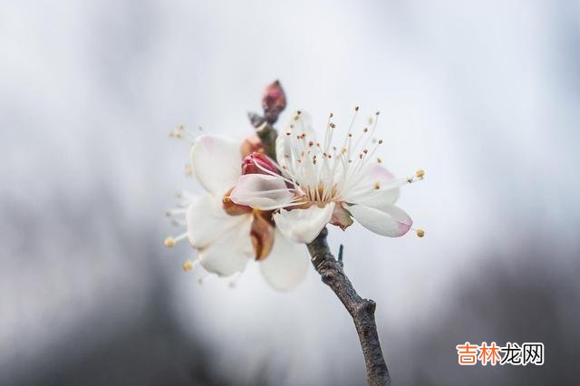 晚年是我们人生一个避不开的坎 人到晚年，别因为寂寞，就随便找个伴过日子