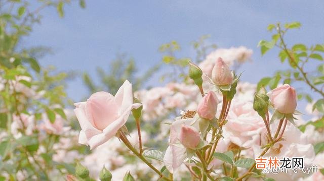 女人对感情虽然矜持 一个女人想要“越界”，通常会发出这三个“信号”