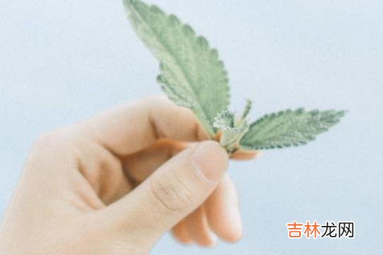 我们常说 人老了之后，这三件事千万不能做