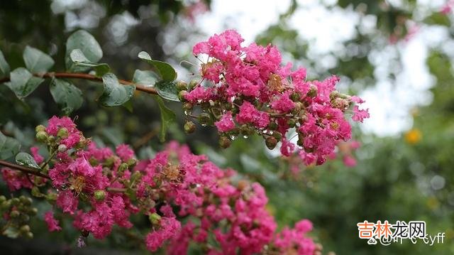 中年女人 约会时，中年女人给你这三个暗示，多半是允许建立“亲密关系”