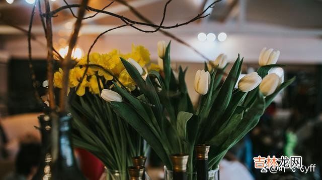 卢梭说：“一个女人可以用化妆品使她出一出风头 “花心”的女人，其实是有这些“共性”的