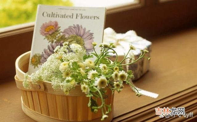 卢梭说:“一个女人可以用化妆品使她出一出风头 “花心”的女人,其实是有这些“共性”的