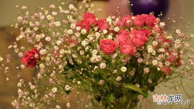 卢梭说:“一个女人可以用化妆品使她出一出风头 “花心”的女人,其实是有这些“共性”的