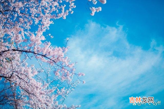 一个女人若是长期缺爱 “缺爱”的女人，大都有以下四个“特征”，很好判断
