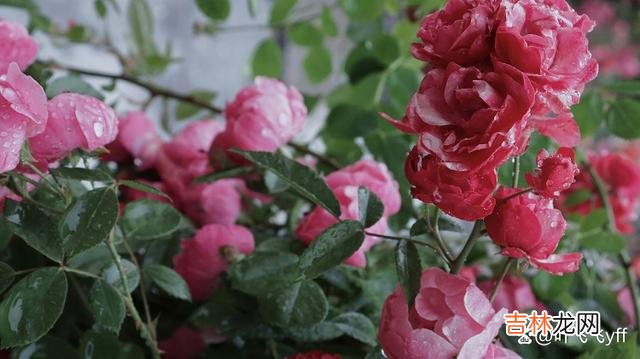 辛弃疾在《青玉案元夕》里写：“众里寻他千百度 女人期待被你追求，会有的暗示，不会拒绝这三件事