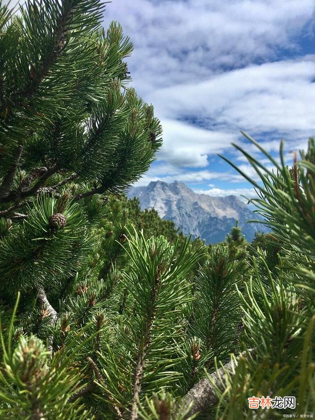 婆媳相处 婆媳相处，儿媳妇最不喜欢你，三个儿媳妇最真实的感受