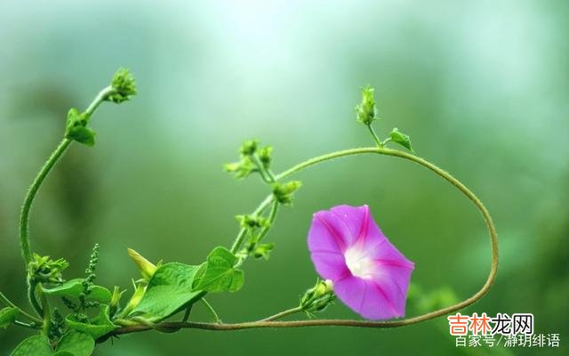 晶晶是城市长大的女孩 结婚仅一年,公婆就大包小包地来了,说要给他们养老