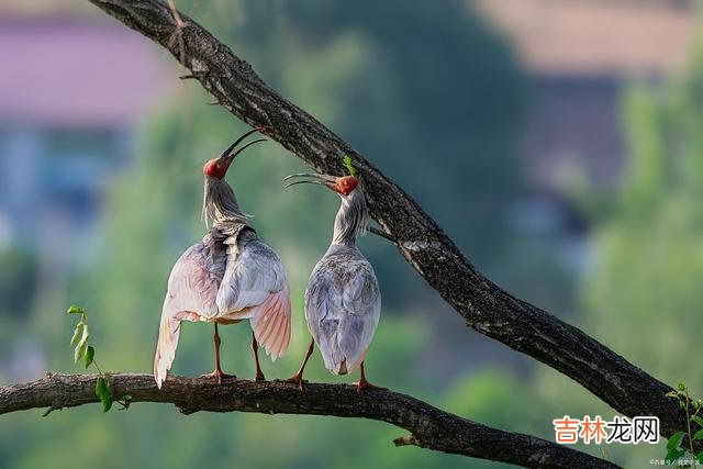 幸福的婚姻是自己做个好人 和前妻复婚了，复婚的原因是前妻在深夜发的一条朋友圈