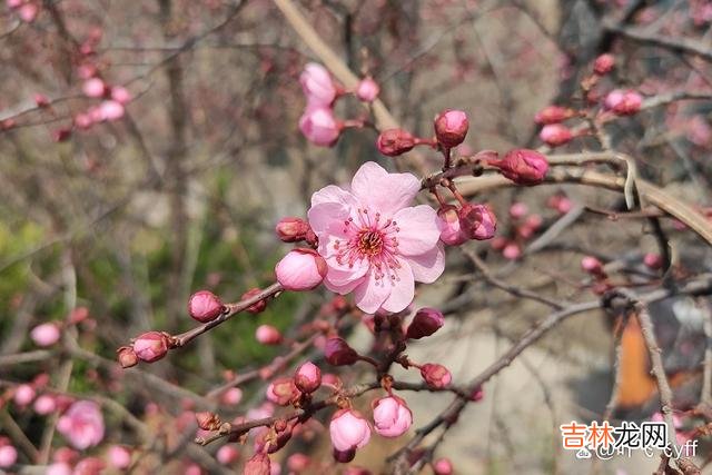 有人说:“一个男人说爱你 男人爱不爱你,让他发一次红包,基本上清楚了